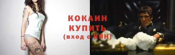 прущие грибы Баксан