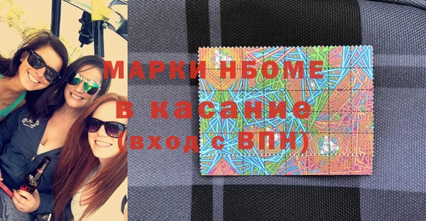 прущие грибы Баксан