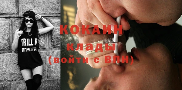 прущие грибы Баксан