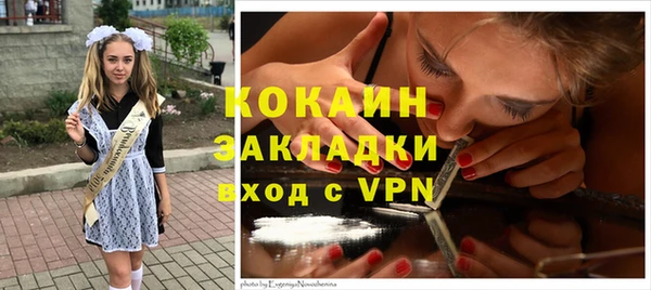 индика Осташков