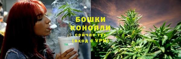 прущие грибы Баксан