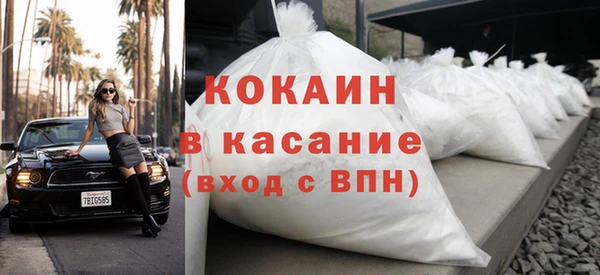 прущие грибы Баксан